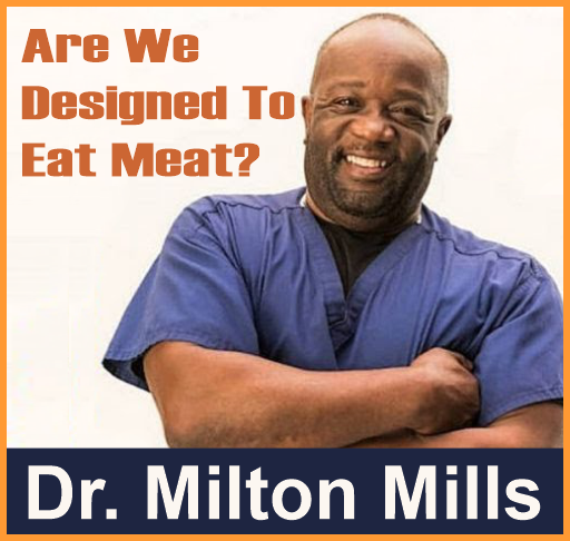 Are We Designed To Eat Meat