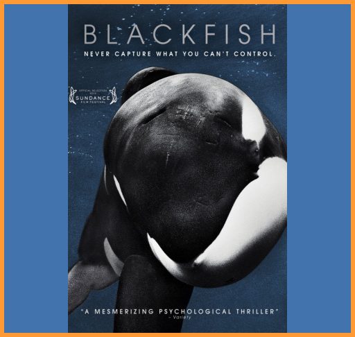Blackfish