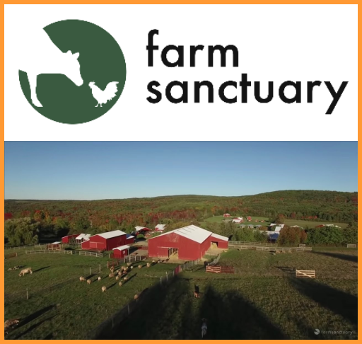 Farm Sanctuary