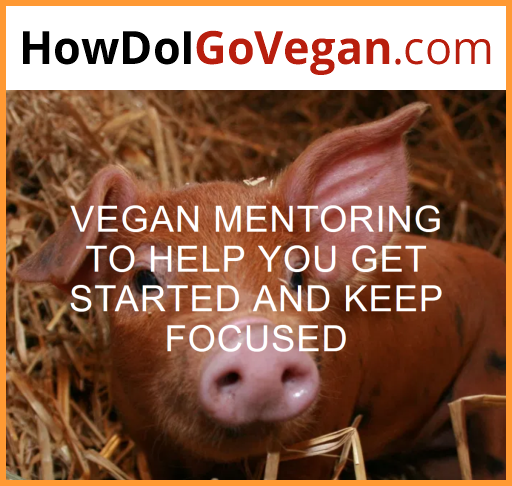 How Do I Go Vegan Mentor Program