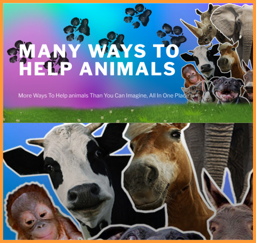 Many Ways To Help Animals