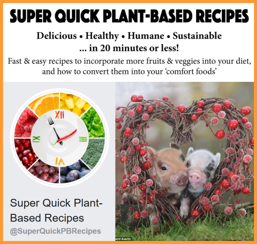 Super Quick Plant-Based Recipes