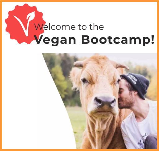 Vegan Bootcamp Mentor Program